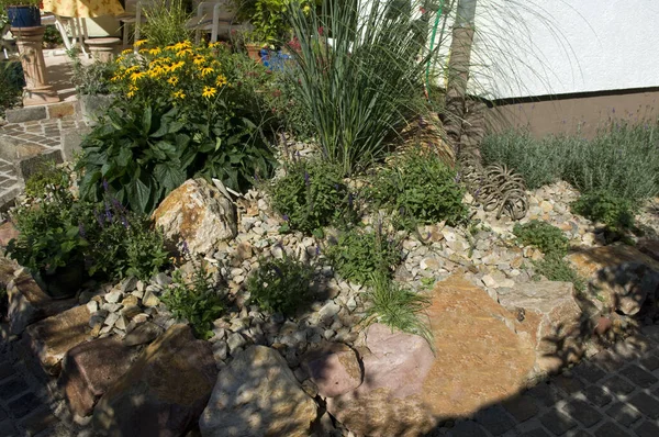 Stone Garden Dry Stone Fuenf Months Planting — Stock Photo, Image