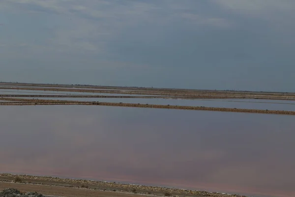 Salt Sjö Öknen Israel — Stockfoto