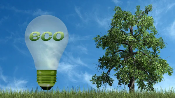 Eco Texto Lámpara Brillo Árbol Concepto Ecología —  Fotos de Stock