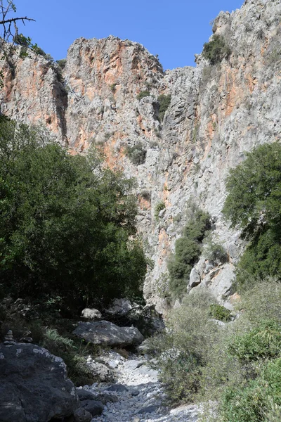 Kritsa Gorge Kreta Kritsa Ravin Ravin Ravin Grekland Natur Naturliga — Stockfoto