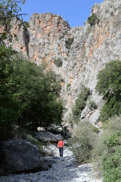 Kritsa Gorge Kreta Kritsa Ravin Ravin Ravin Grekland Natur Naturliga — Stockfoto