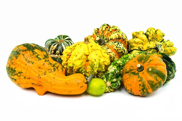 Ornamental Pumpkin Pumpkin Fruit Ornamental Decoration Plant Nature Botany Agriculture — Stock Photo, Image