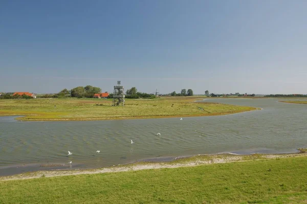 Park Narodowy Oosterschelde Koło Moriaanshoofd Schouwen Duiveland Południowe Niderlandy — Zdjęcie stockowe