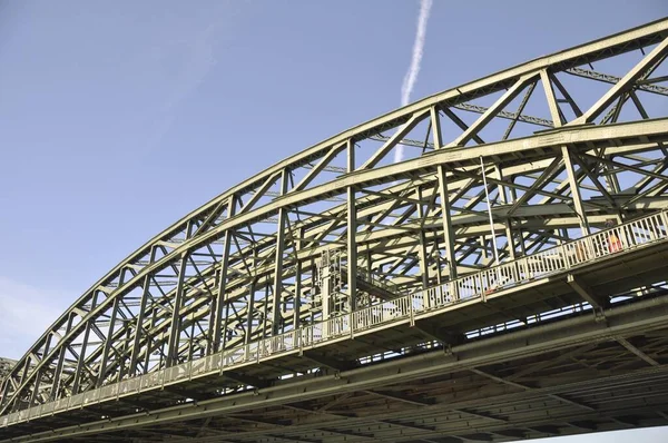 Ponte Hohenzollern Colônia Sobre Rinoceronte — Fotografia de Stock