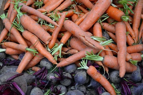 Zanahoria Zanahoria Remolacha Remolacha Remolacha Remolacha Verduras Agricultura Cosecha Tienda — Foto de Stock