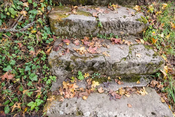 Ancien Escalier Pierre Automne Avec Feuillage — Photo