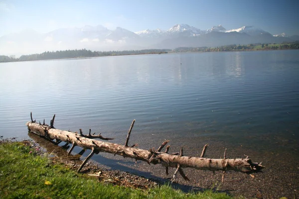 Hop Lake Daytime — Stock Photo, Image