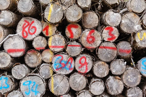 Polter Met Droog Hout — Stockfoto