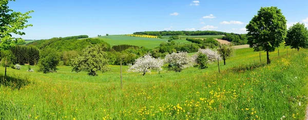 Jarní Krajina Kvetoucími Jabloněmi Panorama — Stock fotografie