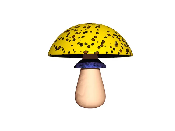 Mushrooms Toadstool Fungus Spore Bearing Fruiting Body — Stock Photo, Image