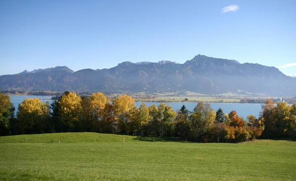 Forggensee Frente Los Alpes Ammergau — Foto de Stock