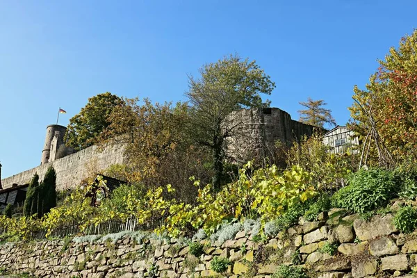 Castillo Arruina Hanstein Eichsfeld — Foto de Stock