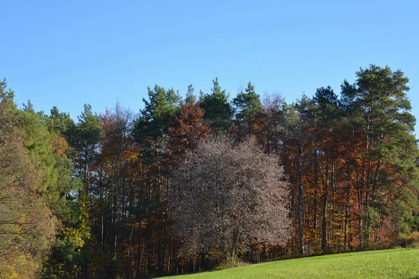 Schöne Naturlandschaft Hintergrund — Stockfoto