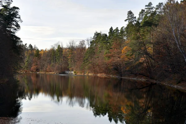 湖の上の秋の森 — ストック写真
