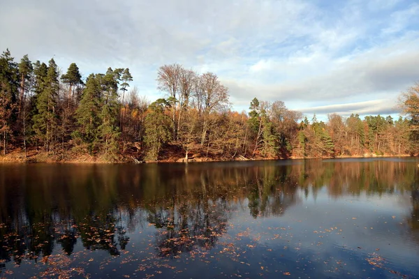 Herbstlicher Wald See — Stockfoto