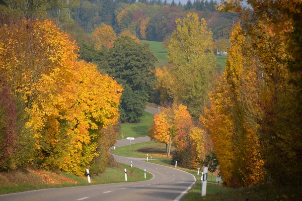 Podzimní Krajina Stromy Silnicemi — Stock fotografie