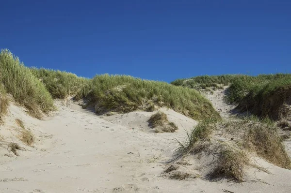 Letnia Plaża Wybrzeżu Morza Północnego Danii — Zdjęcie stockowe