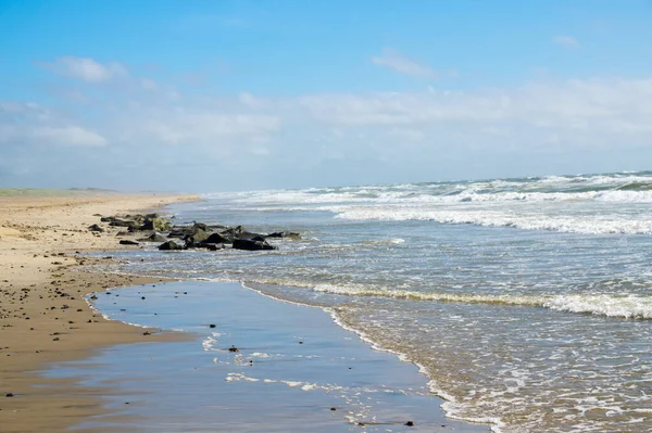 Nyári Strand Dánia Északi Tengeri Partján — Stock Fotó