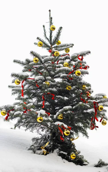 Albero Natale Con Neve — Foto Stock