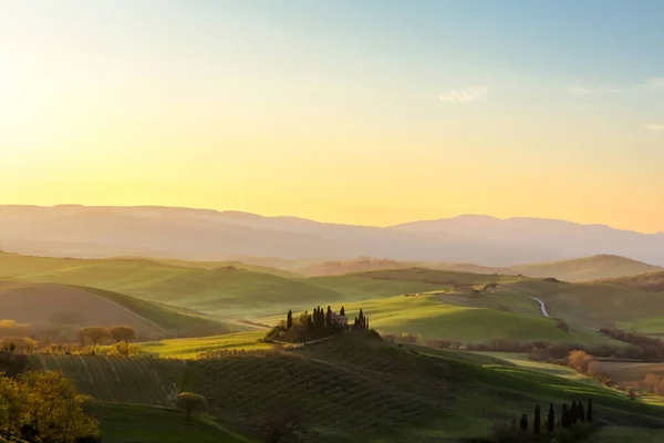 Een Landhuis Met Cipressen Bij Zonsopgang Toscane — Stockfoto