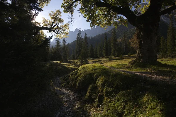 Napkelte Kis Juhar Padló Karwendel — Stock Fotó