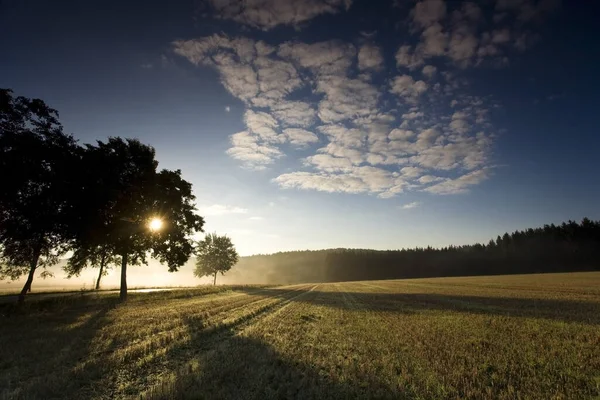 Ziehender Nebel Felder Licht Mit Schatten Und Wolken Sonnenstrahlen Wolken — Stockfoto