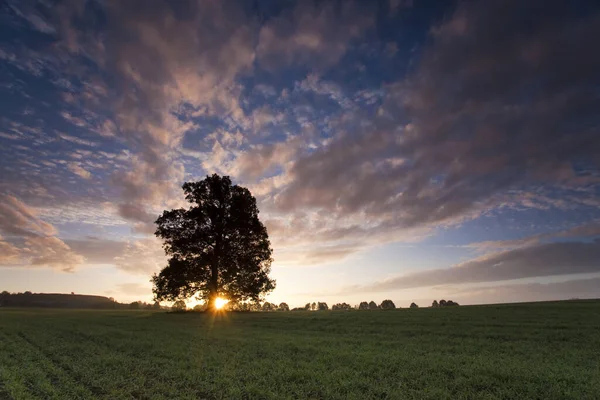 Campos Luz Con Sombras Nubes Rayos Sol Nubes Colores Sobre — Foto de Stock