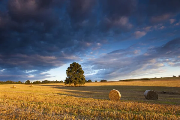 Fields Fény Árnyékok Felhők Napsugarak Színes Felhők Táj Késő Nyáron — Stock Fotó