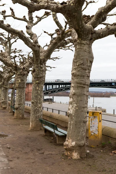 Mayence Est Une Ville Allemande Sur Rhin — Photo