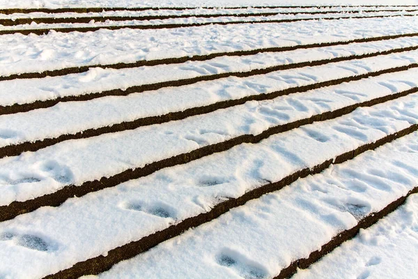 Berliner Volkspark Friedrichshain Stairs Snow — стокове фото