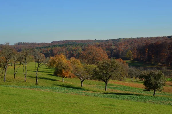 Herbstliche Felder Und Wälder — Stockfoto