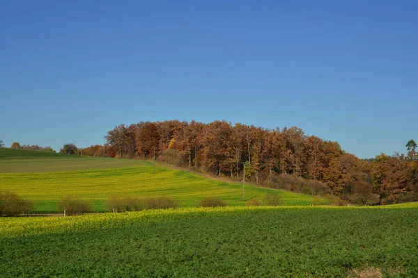 Herbstliche Felder Und Wälder — Stockfoto