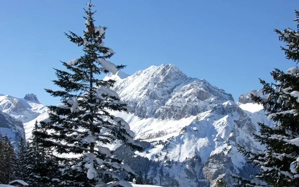 Cime Innevate Sul Lago Oeschinen — Foto Stock