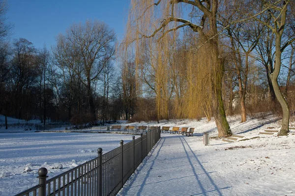 Winter Het Berlijnse Volkspark Friedrichshain — Stockfoto