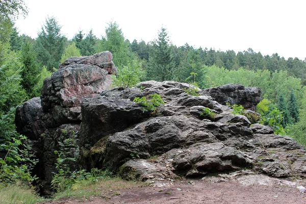 Βράχος Στο Δάσος Καλοκαίρι Weiskirchen Saarland Deuschland — Φωτογραφία Αρχείου