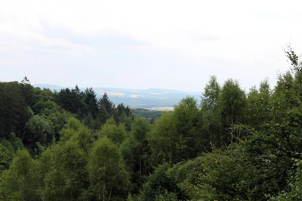 Ліс Вейскірхен Влітку Саарланд Німеччина — стокове фото