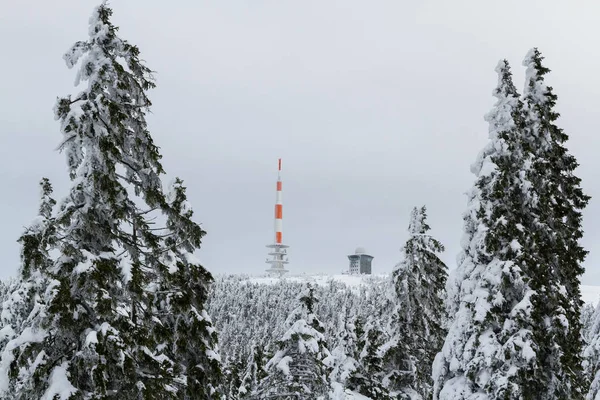 Harz National Park Vista Planalto Brocken — Fotografia de Stock