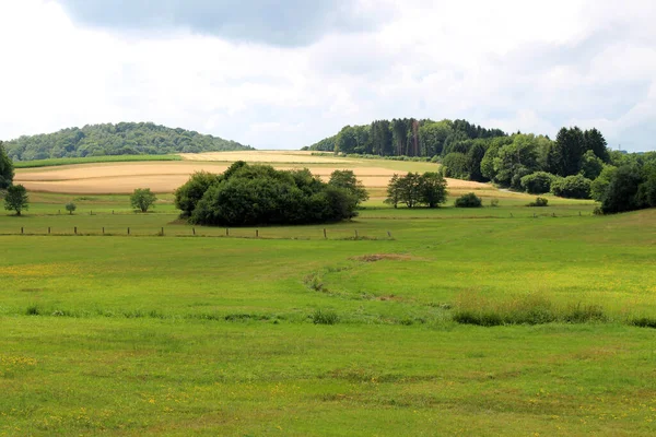 Landschaft Mit Wiesen Feldern Und Bäumen Nonnweiler Saarland — Stockfoto