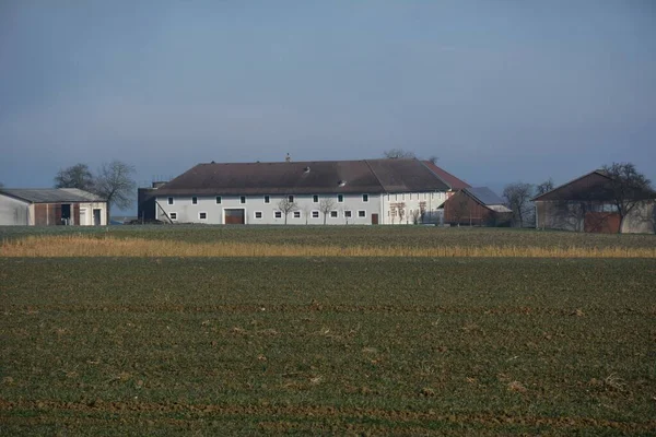 Feld Mostviertel Ernsthofen Meadows Fields Alpine Foreland Farms Square Square — стокове фото