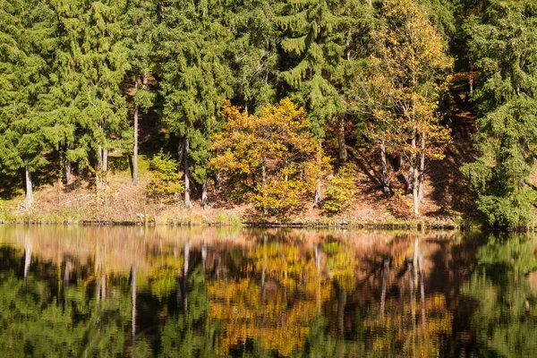 Miejsce Zamieszkania Gntersberge Harz — Zdjęcie stockowe