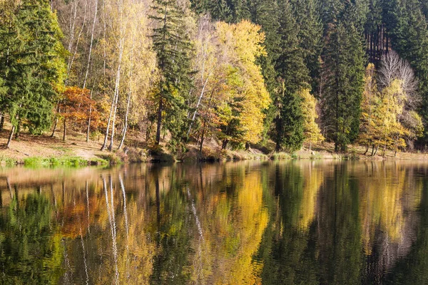 Miejsce Zamieszkania Gntersberge Harz — Zdjęcie stockowe