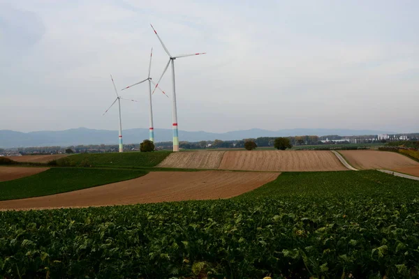 Θέα Από Herxheim Προς Landau — Φωτογραφία Αρχείου