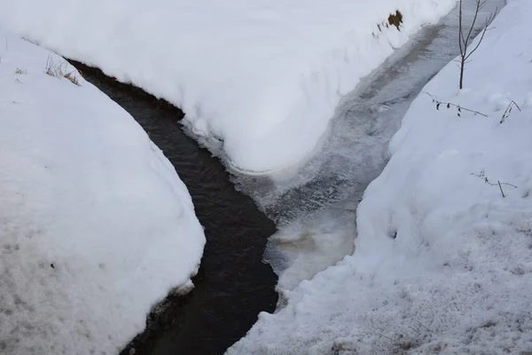 Ujście Rzeki Potok Strumienie Woda Zima Śnieg Lód Łąka — Zdjęcie stockowe
