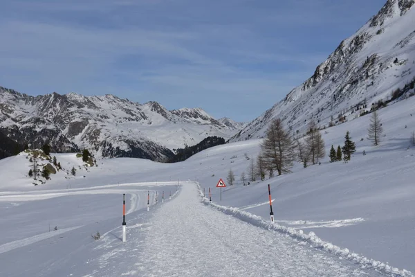 Ski slope,cross-country ski run,Staller Sattel,East Tyrol,hiking trail,road,pass road,trail