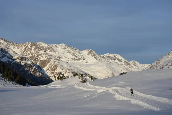 Wintersport Langlaufen Skiën Skiën Langlaufers Piste Parcours Avondzon — Stockfoto