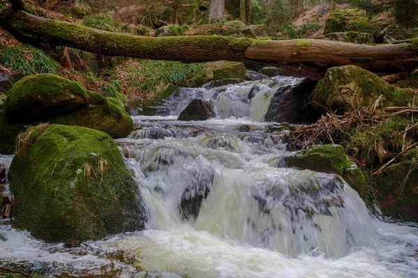 Εθνικό Πάρκο Harz Ilsetal — Φωτογραφία Αρχείου