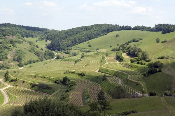 Badberg Alt Vogtsburg Kaiserstuhl — Stockfoto