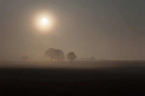 Sonnenaufgang Nebel Auf Dem Feld Wiesen Und Wälder Frühling Nebel — Stockfoto