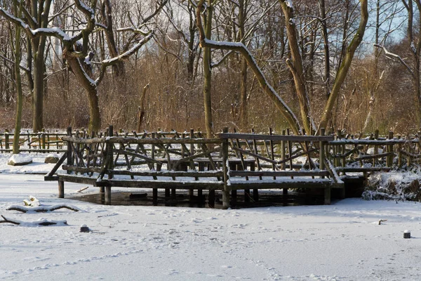 Berlin Deki Volkspark Friedrichshain Kış — Stok fotoğraf