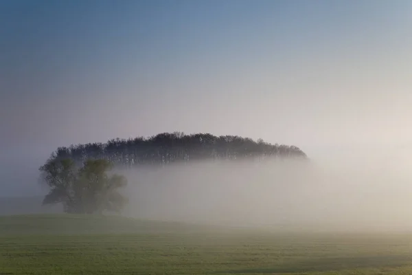 Sonnenaufgang Nebel Auf Dem Feld Wiesen Und Wälder Frühling Nebel — Stockfoto